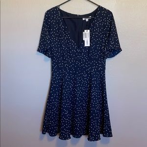 Size 6 BB Dakota Dress